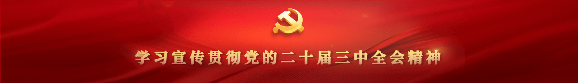 學(xué)習(xí)宣傳貫徹黨的二十屆三中全會(huì)精神
